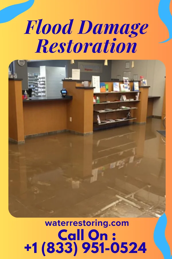 Flood Damage Restoration in Benton, IL