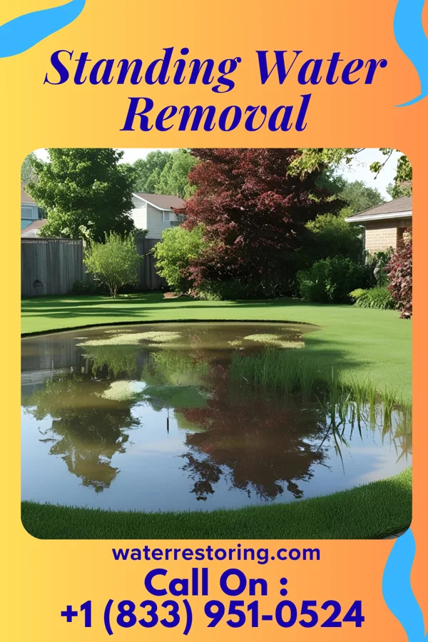 Standing Water Removal in Benton, IL